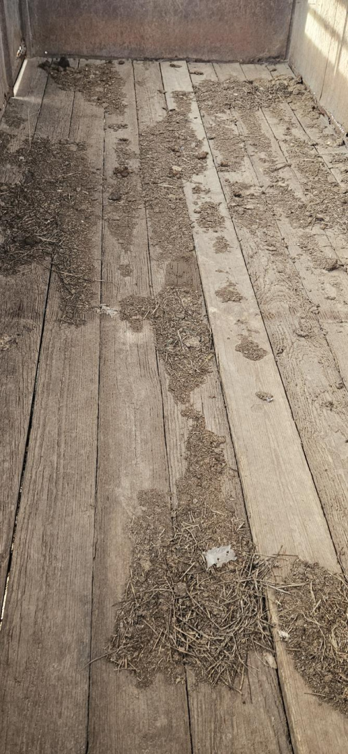 Used 1984 Blair 6' x 16' Stock Trailer