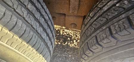 Used 1984 Blair 6' x 16' Stock Trailer