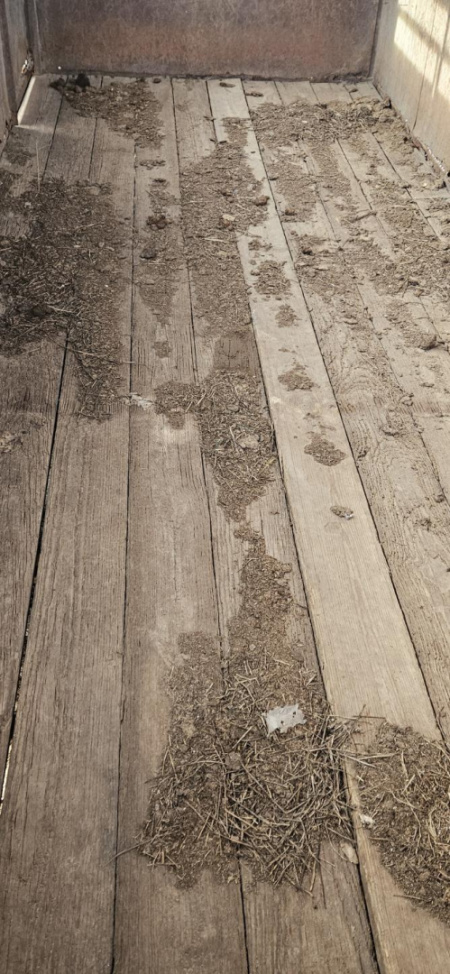 Used 1984 Blair 6' x 16' Stock Trailer