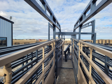 New 2026 DY-Klass Mega 230 Gooseneck Portable Corral