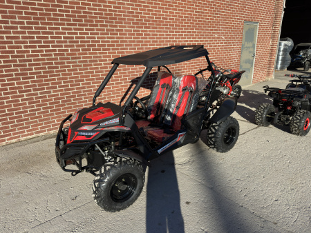 New 2026 Trailmaster CHEETAH 200 Side by Side (Sport)
