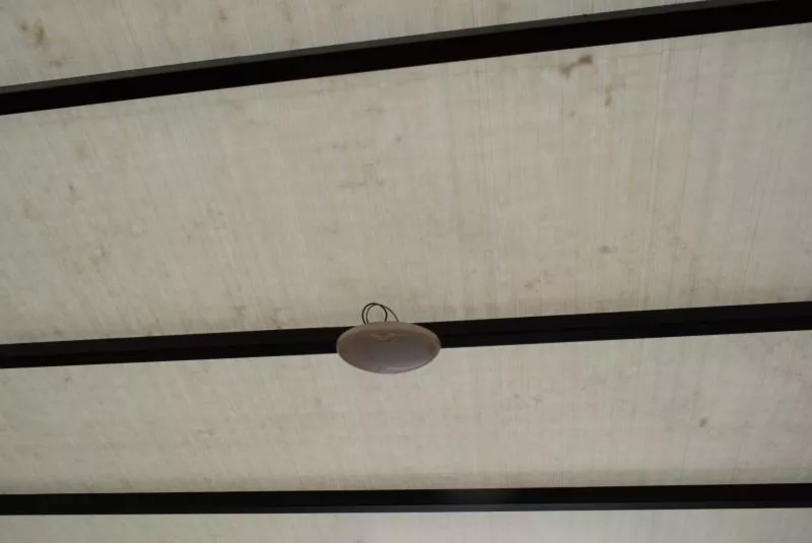 New DEWALT 8.5x16 CONTRACTOR TRAILER - .080 POLYCOR SKIN