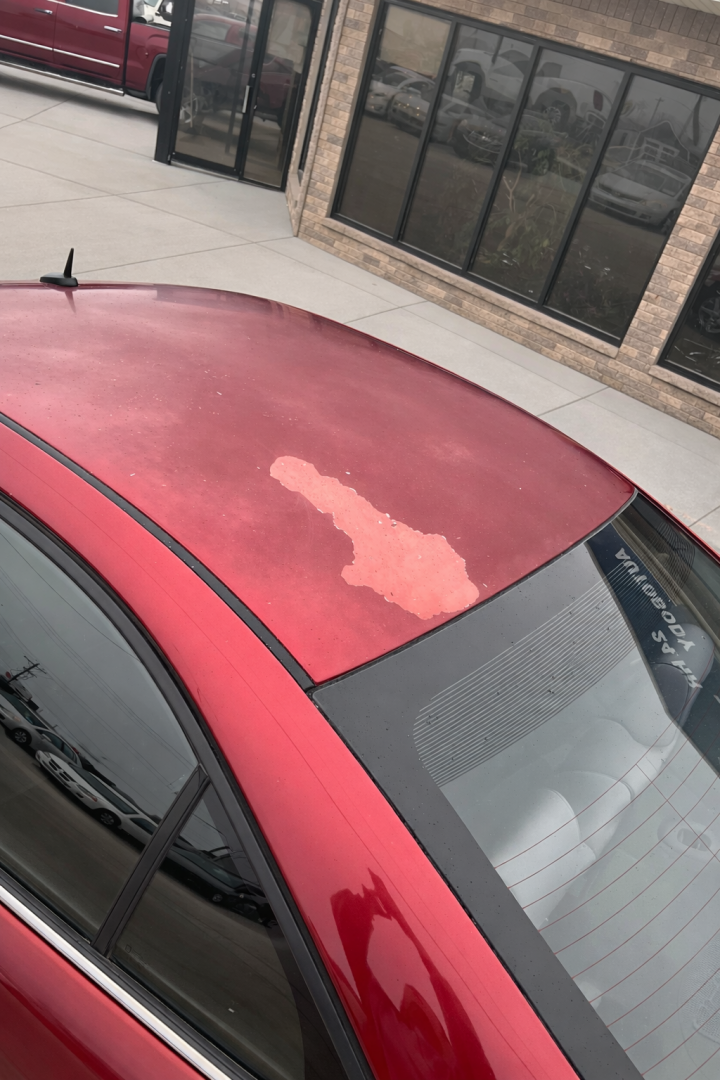 Used 2008 Pontiac G6/SE Car