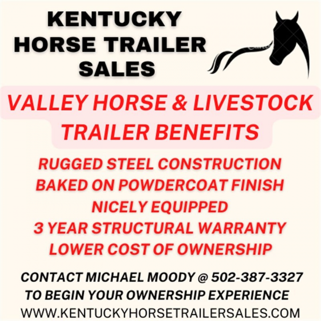 New 2026 Valley 2 HORSE STRAIGHT LOAD w/ RAMP >> EXTRA TALL & WIDE