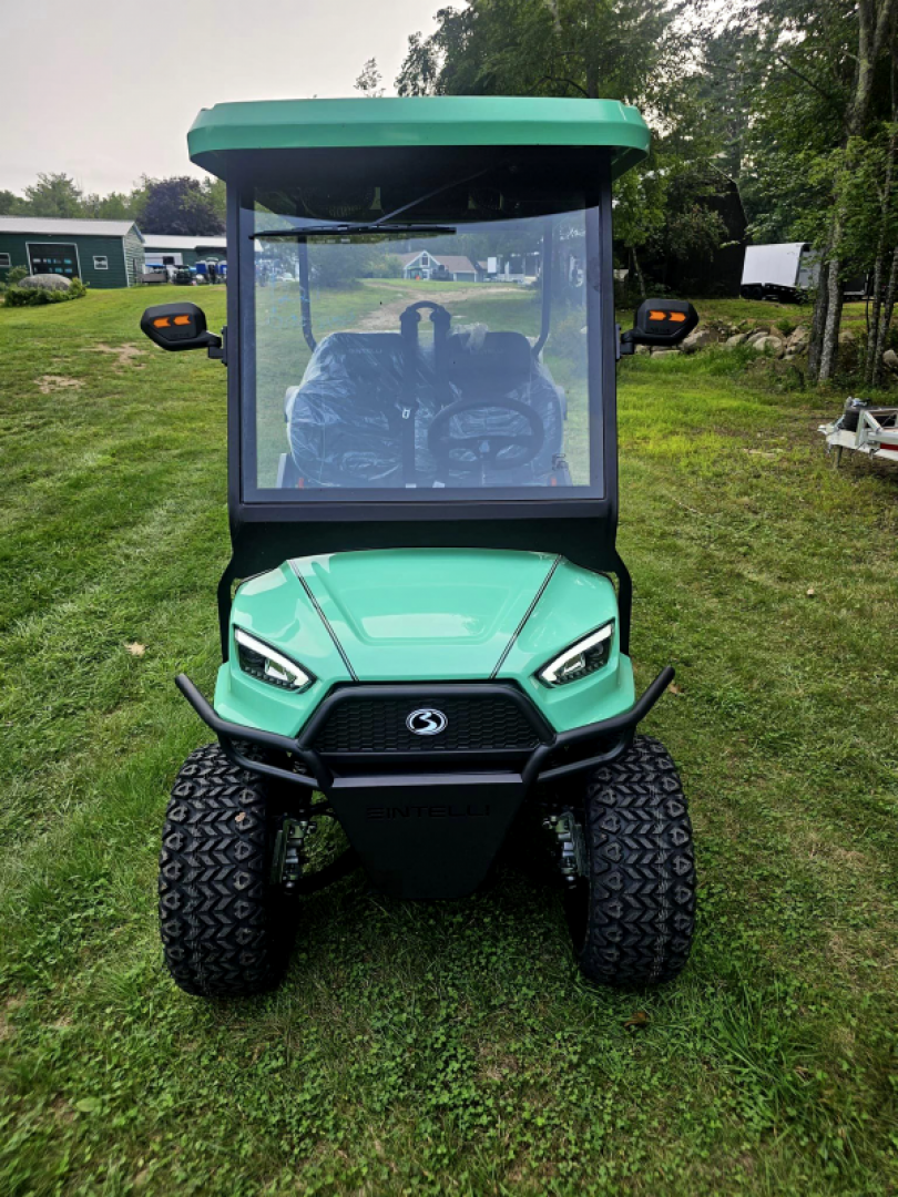 New 2024 Nexus 4p Lifted Mint green - Bintelli