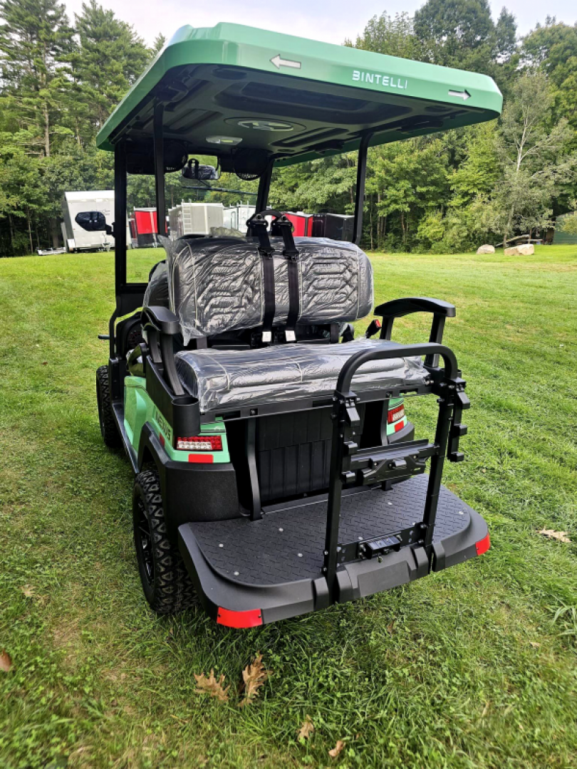 New 2024 Nexus 4p Lifted Mint green - Bintelli