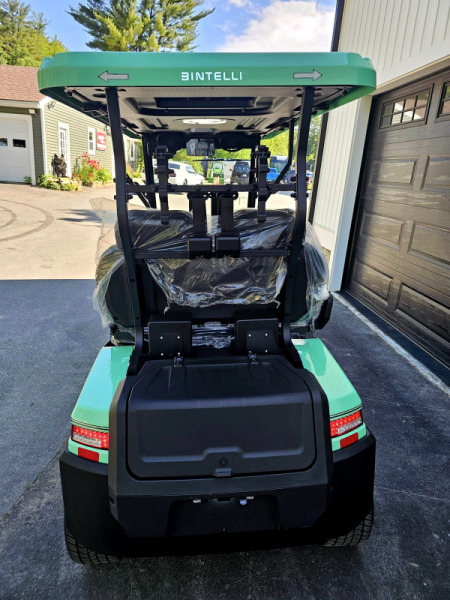 New 2024 Nexus 4f street legal golf cart lsv mint green loaded - Bintelli