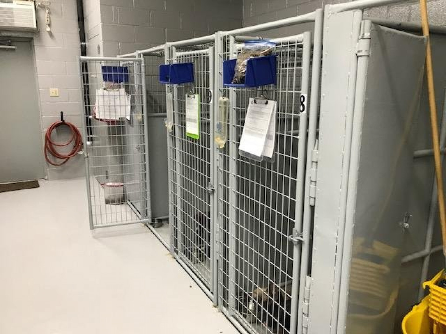 New 2026 Heavy Duty Welded Wire Dog Kennels