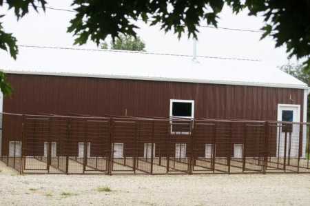 New 2026 Heavy Duty Welded Wire Dog Kennels