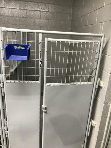 New 2026 Heavy Duty Welded Wire Dog Kennels