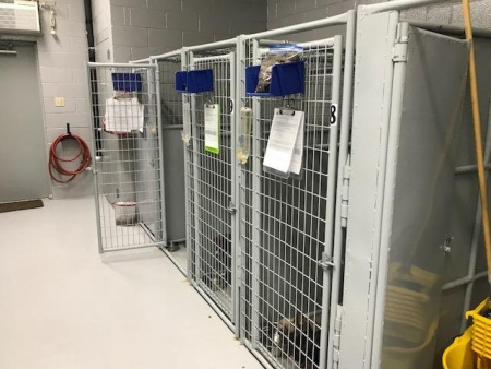 New 2026 Heavy Duty Welded Wire Dog Kennels